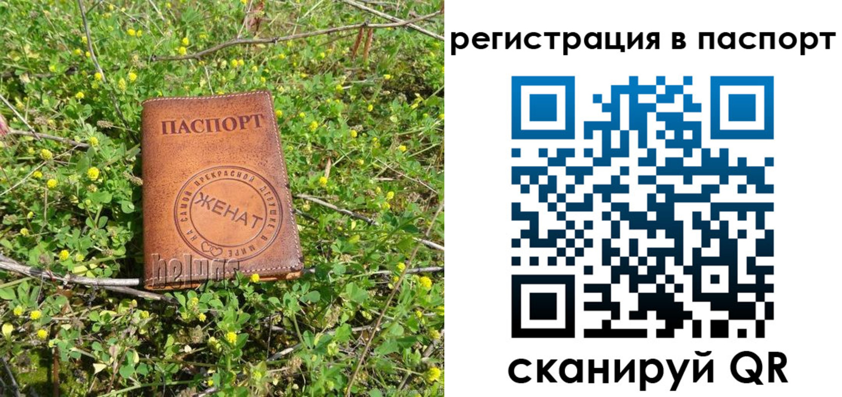 прописка законно в Соколе